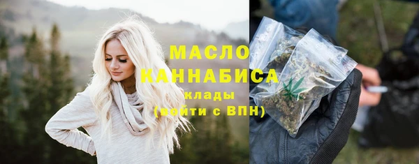 твердый Медногорск